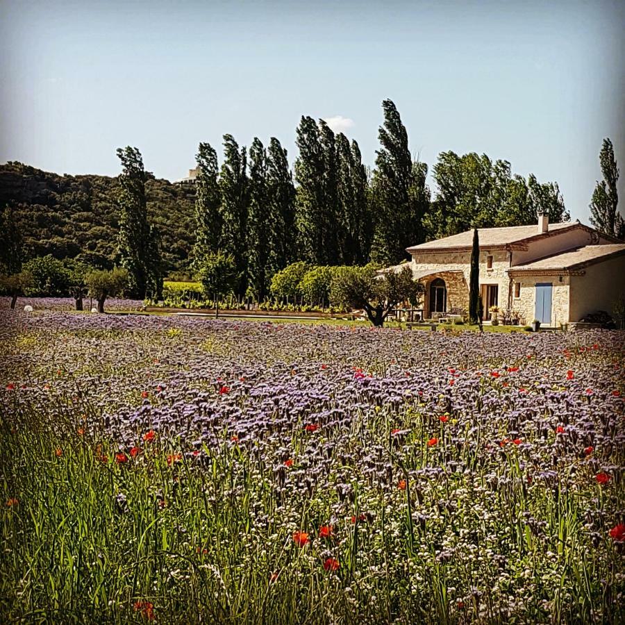 Fontaine De Cerier Bed and Breakfast Castillon-du-Gard Buitenkant foto